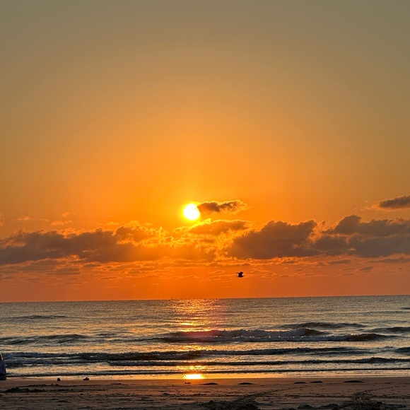 Meet your Posher, Ashley - Picture 2 of 2